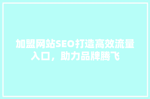 加盟网站SEO打造高效流量入口，助力品牌腾飞