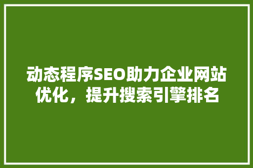 动态程序SEO助力企业网站优化，提升搜索引擎排名