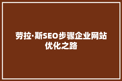 劳拉·斯SEO步骤企业网站优化之路