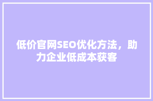 低价官网SEO优化方法，助力企业低成本获客