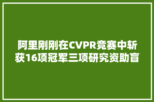 阿里刚刚在CVPR竞赛中斩获16项冠军三项研究资助盲人看见世界