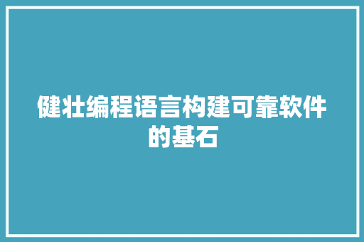 健壮编程语言构建可靠软件的基石