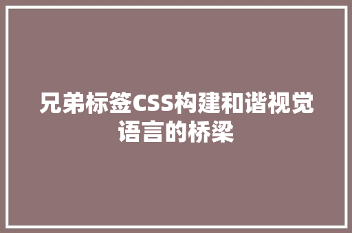 兄弟标签CSS构建和谐视觉语言的桥梁