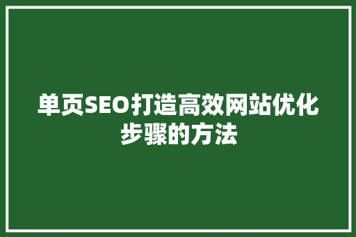 单页SEO打造高效网站优化步骤的方法