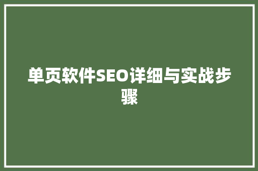 单页软件SEO详细与实战步骤