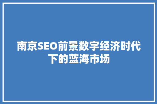 南京SEO前景数字经济时代下的蓝海市场