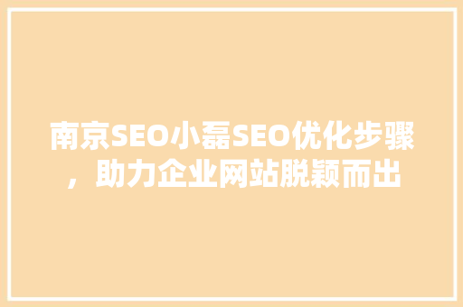 南京SEO小磊SEO优化步骤，助力企业网站脱颖而出