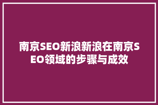 南京SEO新浪新浪在南京SEO领域的步骤与成效