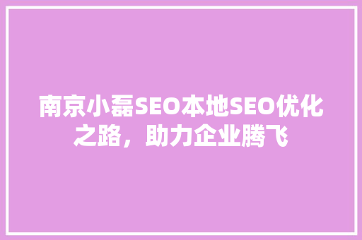 南京小磊SEO本地SEO优化之路，助力企业腾飞