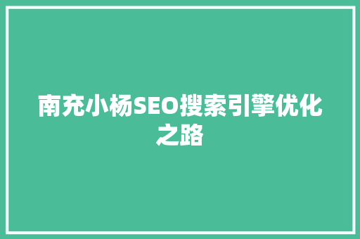 南充小杨SEO搜索引擎优化之路