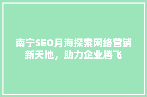 南宁SEO月海探索网络营销新天地，助力企业腾飞