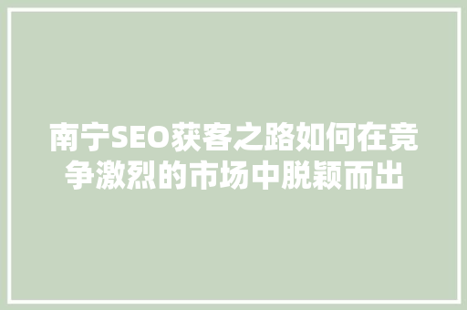 南宁SEO获客之路如何在竞争激烈的市场中脱颖而出