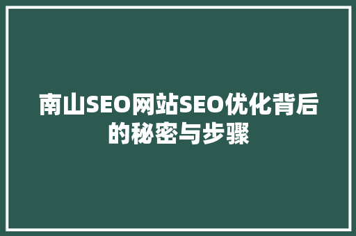 南山SEO网站SEO优化背后的秘密与步骤