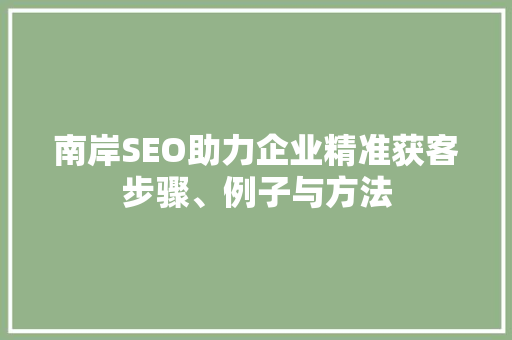 南岸SEO助力企业精准获客步骤、例子与方法