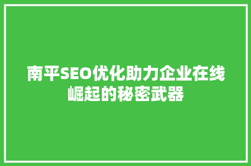 南平SEO优化助力企业在线崛起的秘密武器