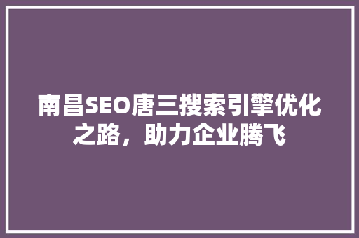 南昌SEO唐三搜索引擎优化之路，助力企业腾飞