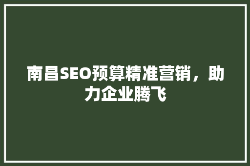 南昌SEO预算精准营销，助力企业腾飞