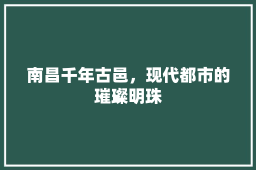 南昌千年古邑，现代都市的璀璨明珠