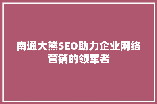 南通大熊SEO助力企业网络营销的领军者