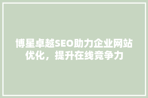 博星卓越SEO助力企业网站优化，提升在线竞争力