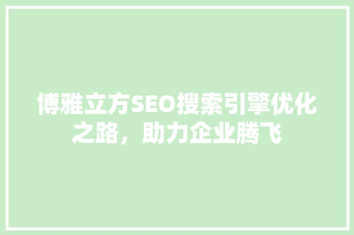 博雅立方SEO搜索引擎优化之路，助力企业腾飞