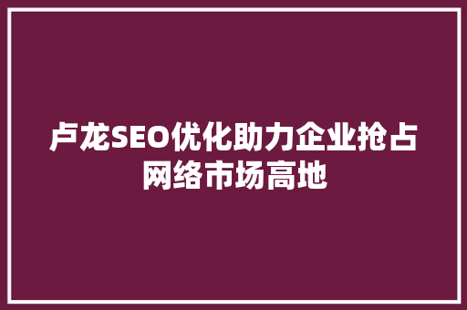 卢龙SEO优化助力企业抢占网络市场高地