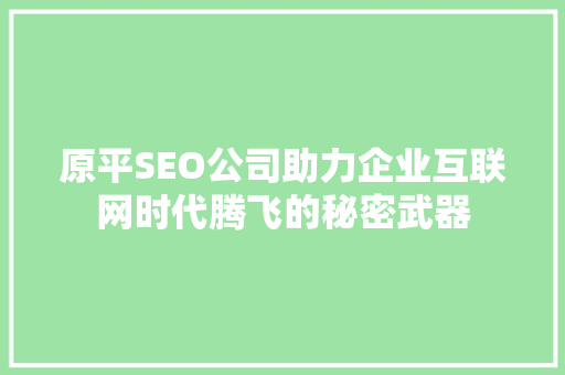 原平SEO公司助力企业互联网时代腾飞的秘密武器