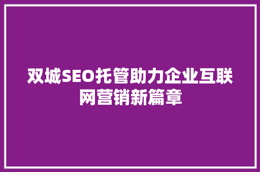 双城SEO托管助力企业互联网营销新篇章