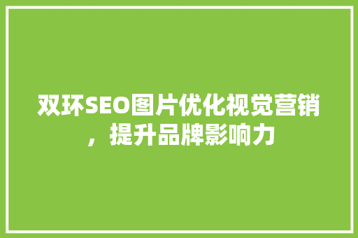 双环SEO图片优化视觉营销，提升品牌影响力