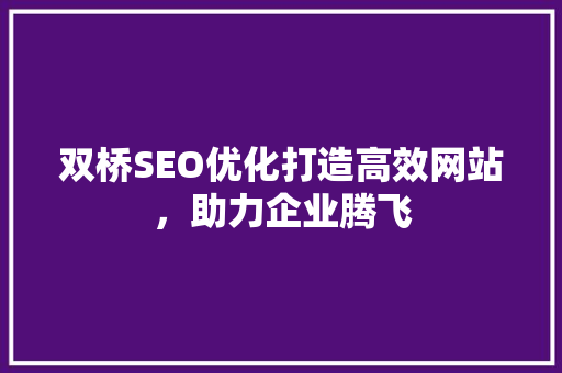 双桥SEO优化打造高效网站，助力企业腾飞