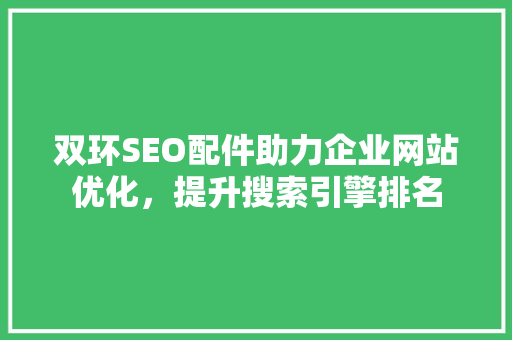 双环SEO配件助力企业网站优化，提升搜索引擎排名