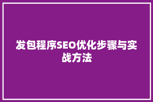 发包程序SEO优化步骤与实战方法