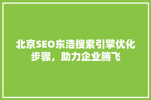 北京SEO东浩搜索引擎优化步骤，助力企业腾飞