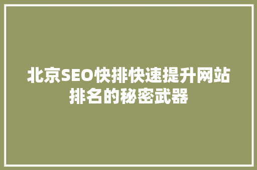 北京SEO快排快速提升网站排名的秘密武器