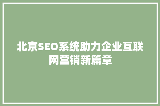 北京SEO系统助力企业互联网营销新篇章