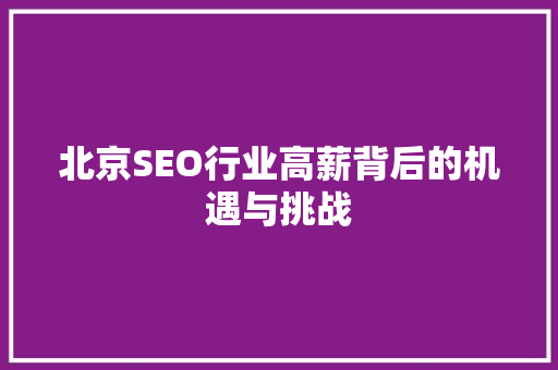 北京SEO行业高薪背后的机遇与挑战