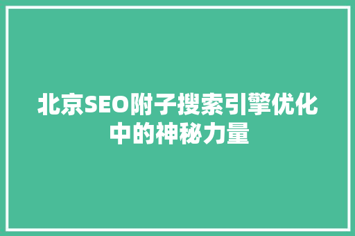 北京SEO附子搜索引擎优化中的神秘力量