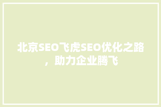 北京SEO飞虎SEO优化之路，助力企业腾飞