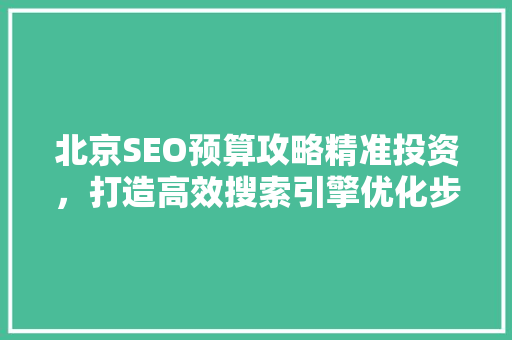 北京SEO预算攻略精准投资，打造高效搜索引擎优化步骤