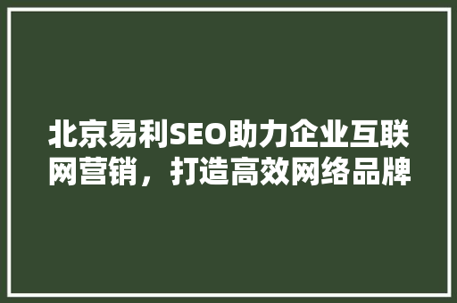 北京易利SEO助力企业互联网营销，打造高效网络品牌