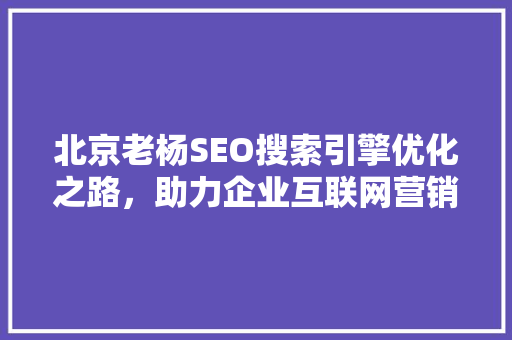 北京老杨SEO搜索引擎优化之路，助力企业互联网营销腾飞