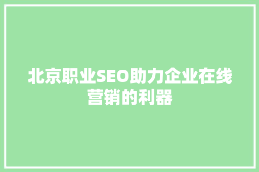 北京职业SEO助力企业在线营销的利器