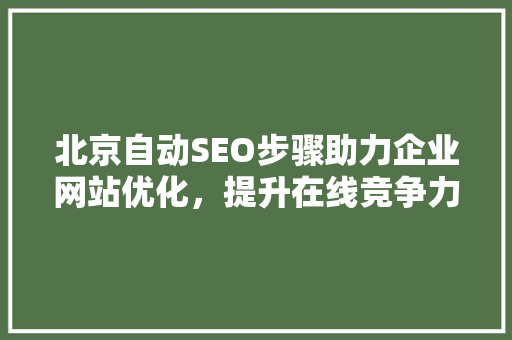 北京自动SEO步骤助力企业网站优化，提升在线竞争力