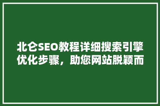 北仑SEO教程详细搜索引擎优化步骤，助您网站脱颖而出