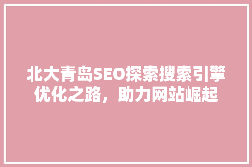 北大青岛SEO探索搜索引擎优化之路，助力网站崛起