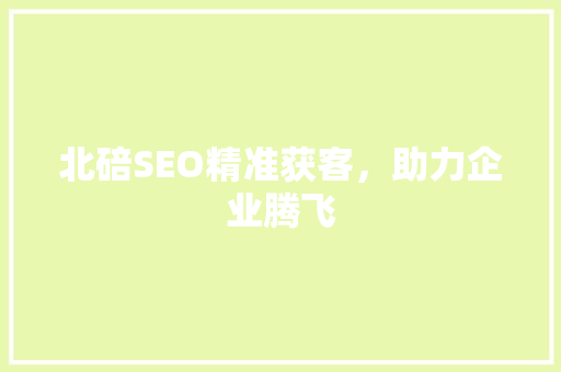 北碚SEO精准获客，助力企业腾飞