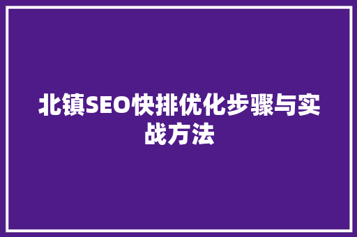 北镇SEO快排优化步骤与实战方法