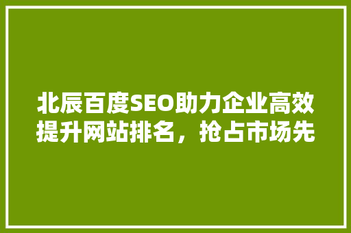 北辰百度SEO助力企业高效提升网站排名，抢占市场先机