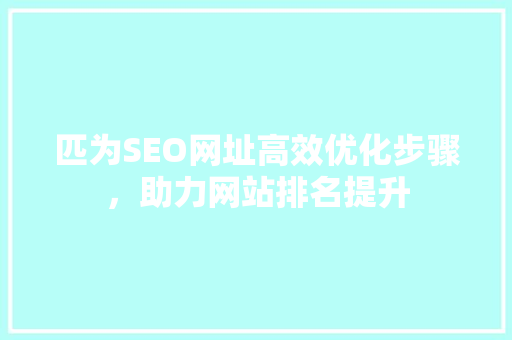 匹为SEO网址高效优化步骤，助力网站排名提升