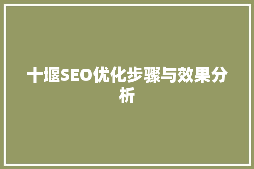 十堰SEO优化步骤与效果分析